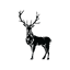 Red Stag